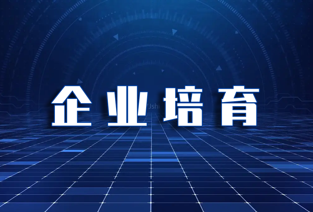 关于印发《标准创新型企业梯度培育管理办法（试行）》的通知