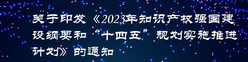 关于印发《2023年知识产权强国建设纲要和“十四五”规划实施推进计划》的通知