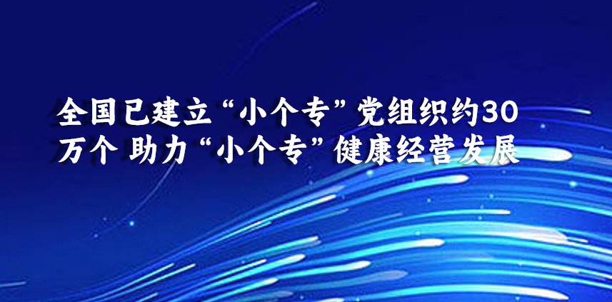 全国已建立“小个专”党组织约30万个 助力“小个专”健康经营发展